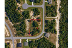 320 BOWFIN DRIVE, KISSIMMEE, FL 34759 - MLS#MFRS5148462