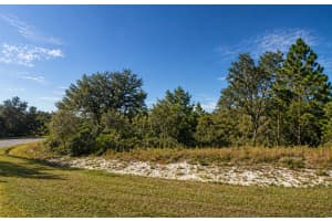 320 BOWFIN DRIVE, KISSIMMEE, FL 34759 - MLS#MFRS5148462
