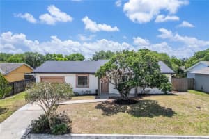 8742 Brackenwood Dr, ORLANDO