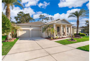 2521 MARSHFIELD PRESERVE WAY, KISSIMMEE, FL 34746 - MLS#MFRS5148608
