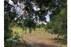 0 WINNERS CIRCLE, KISSIMMEE, FL 34744 - MLS#MFRS5148680