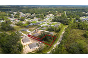 133 SPARROW COURT, KISSIMMEE, FL 34759 - MLS#MFRS5148752