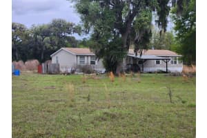 16295 95TH TRAIL, WHITE SPRINGS, FL 32096 - MLS#MFRS5148772