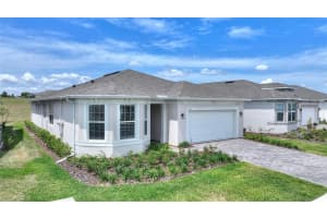 1333 ZESTY CITRUS LN, MINNEOLA, FL 34715 - MLS#MFRS5148983