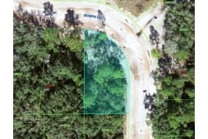 Inside Curve BOWFIN DRIVE, POINCIANA, FL 34759 - MLS#MFRS5149057