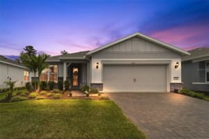 2511 PINE PRESERVE COURT, ST CLOUD, FL 34771 - MLS#MFRS5149084