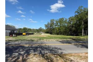 4002 WHITE HERON DRIVE, ORLANDO, FL 32808 - MLS#MFRS5149103