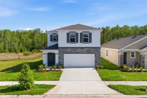 17786 ACORN DROP ROAD, LAND O LAKES, FL 34638 - MLS#MFRS5149183