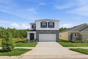 17786 ACORN DROP ROAD, LAND O LAKES, FL 34638 - MLS#MFRS5149183