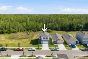 17786 ACORN DROP ROAD, LAND O LAKES, FL 34638 - MLS#MFRS5149183