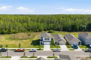 17786 ACORN DROP ROAD, LAND O LAKES, FL 34638 - MLS#MFRS5149183