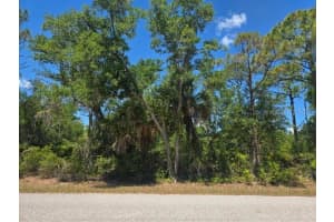 3137 CALEXICO STREET, PORT CHARLOTTE, FL 33948 - MLS#MFRS5149222