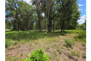 0 15TH PLACE, OCALA, FL 34481 - MLS#MFRS5149237