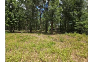 0 15TH PLACE, OCALA, FL 34481 - MLS#MFRS5149334