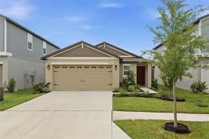 35298 Ackley Trce, ZEPHYRHILLS