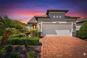 19474 SHIP WHEEL WAY, LAND O LAKES, FL 34638 - MLS#MFRS5149643