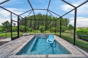 19474 SHIP WHEEL WAY, LAND O LAKES, FL 34638 - MLS#MFRS5149643