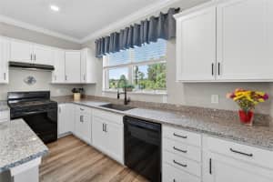 19474 SHIP WHEEL WAY, LAND O LAKES, FL 34638 - MLS#MFRS5149643