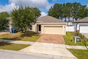 1209 STRATTON AVENUE, GROVELAND, FL 34736 - MLS#MFRS5150033
