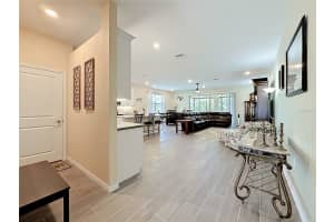 6013 CLAYSTONE WAY, MOUNT DORA, FL 32757 - MLS#MFRS5150048