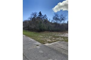 408 VERNON COURT, KISSIMMEE, FL 34759 - MLS#MFRS5150086