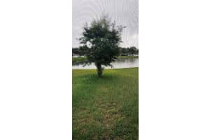4592 BIG ISLAND DRIVE, KISSIMMEE, FL 34746 - MLS#MFRS5150523