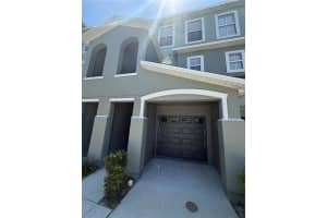 4817 Tuscan Loon Dr, TAMPA