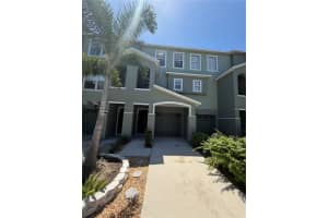 4817 TUSCAN LOON DRIVE, TAMPA, FL 33619 - MLS#MFRS5151406