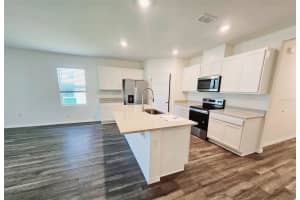 1237 LIMBALI STREET, MOUNT DORA, FL 32757 - MLS#MFRS5151756