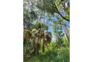 16950 ARROWHEAD BOULEVARD, WINTER GARDEN, FL 34787 - MLS#MFRS5152294