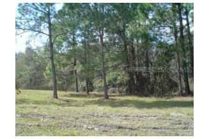 MLS# MFRT2505952, Zephyrhills, Florida 33544