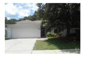 24323 Painter Dr, Land O' Lakes, FL 34639, Sold 11/08/13