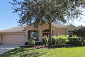 19043 Fern Meadow Loop, Lutz, FL 33558, Sold 03/14/14