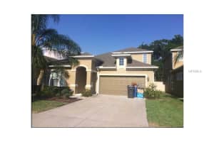 8216 Nectar Ridge Ct, Odessa, FL 33556, Sold 06/25/14