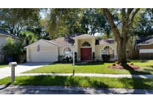 24252 Painter Dr, Land O' Lakes, FL 34639, Sold 12/18/14