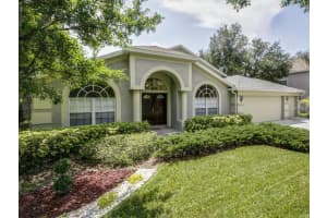 9115 Brindlewood Dr, Odessa, FL 33556, Sold 06/11/15
