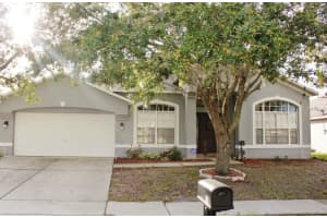 431 Country Vineyard Dr, Valrico, FL 33594, Sold 08/07/15