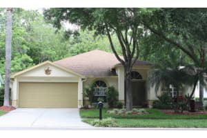24227 Painter Dr, Land O' Lakes, FL 34639, Sold 06/02/15