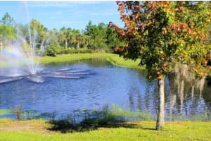 12508 Silverdale St, Tampa, FL 33626, Sold 12/07/15