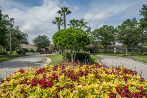 11227 Cypress Reserve Dr, Tampa, FL 33626, Sold 10/30/15