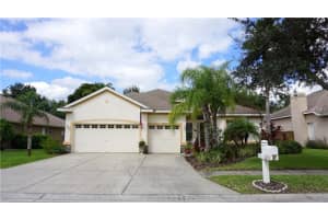 22901 Eagles Watch Dr, Land O' Lakes, FL 34639, Sold 09/19/16