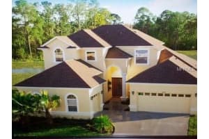 27250 Sora Blvd, Wesley Chapel, FL 33544, Sold 12/10/15