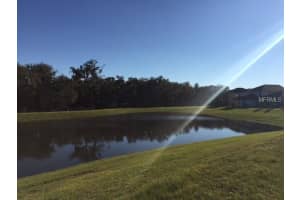 11118 Purple Martin Blvd, Riverview, FL 33579, Sold 05/31/16