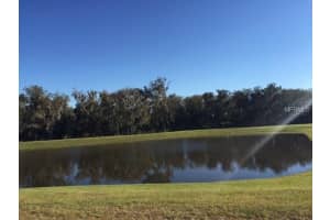 11118 Purple Martin Blvd, Riverview, FL 33579, Sold 05/31/16