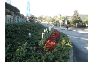 27149 Sora Blvd, Zephyrhills, FL 33544, Sold 06/23/16