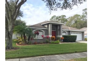 24249 Painter Dr, Land O' Lakes, FL 34639, Sold 03/18/16