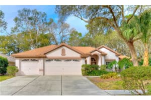 16812 Sheringham Ln, Lutz, FL 33549, Sold 06/27/16