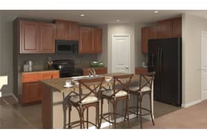 1501 Climbing Dayflower Dr, Ruskin, FL 33570, Sold 04/21/16