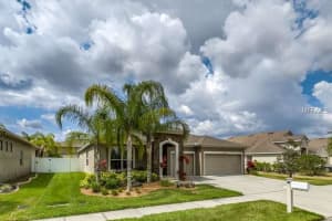 31536 Bearded Oak Dr, Wesley Chapel, FL 33543, Sold 06/24/16