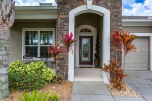 31536 Bearded Oak Dr, Wesley Chapel, FL 33543, Sold 06/24/16